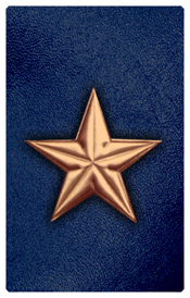 DNSHERT C 430 CP BL Star Copper Blue